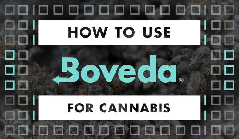 How to Use Boveda Humidity Packs for Cannabis