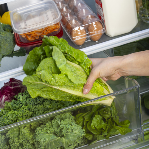 A hand removing a crips lettuce from a crisper drawer.